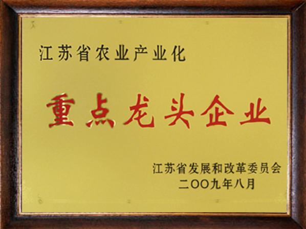 龍頭企業