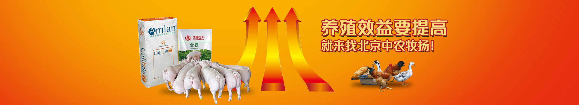 養殖效益要提高，就來找北京中農牧揚