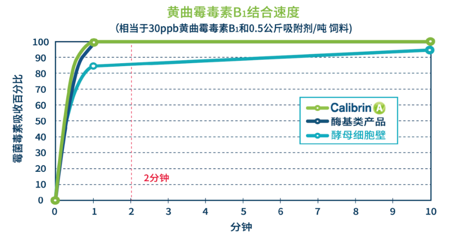 B1結合速度
