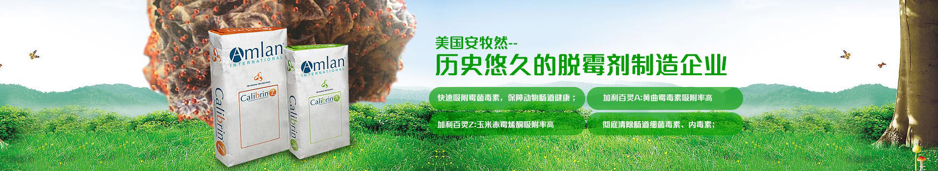 美國安牧然，歷史悠久的脫霉劑制造企業(yè)