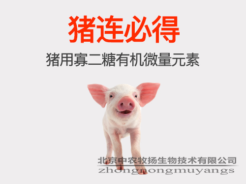 豬連必得 豬用寡二糖有機微量元素